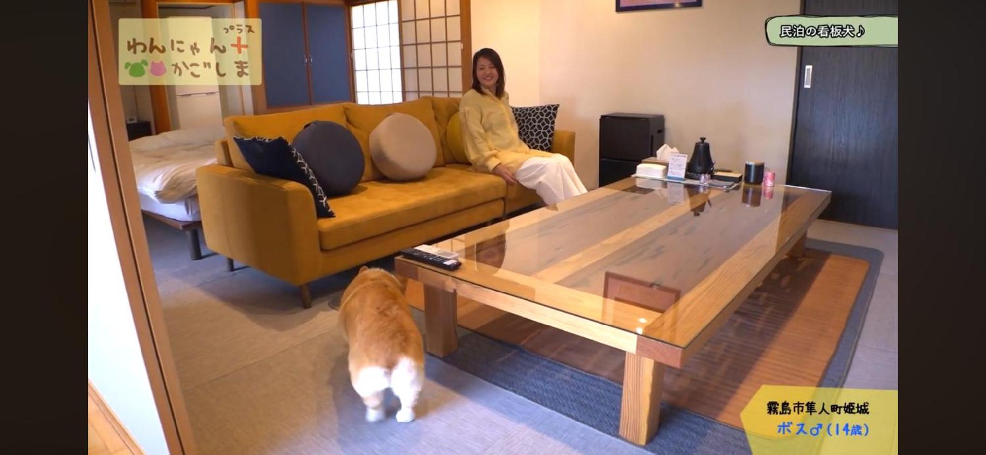 Boss'Shouse 犬ok 1組限定の宿 Kirishima Zewnętrze zdjęcie